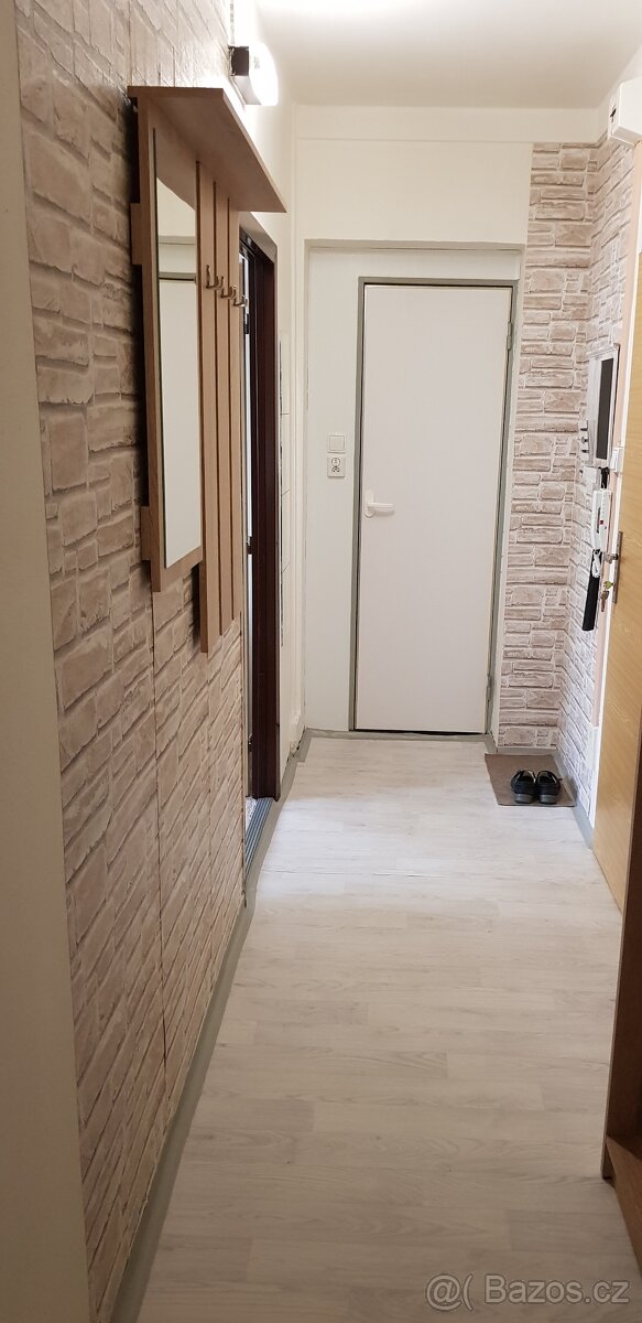 Prodej bytu 2+1, 44 m², Dv. okruh Krnov - 10
