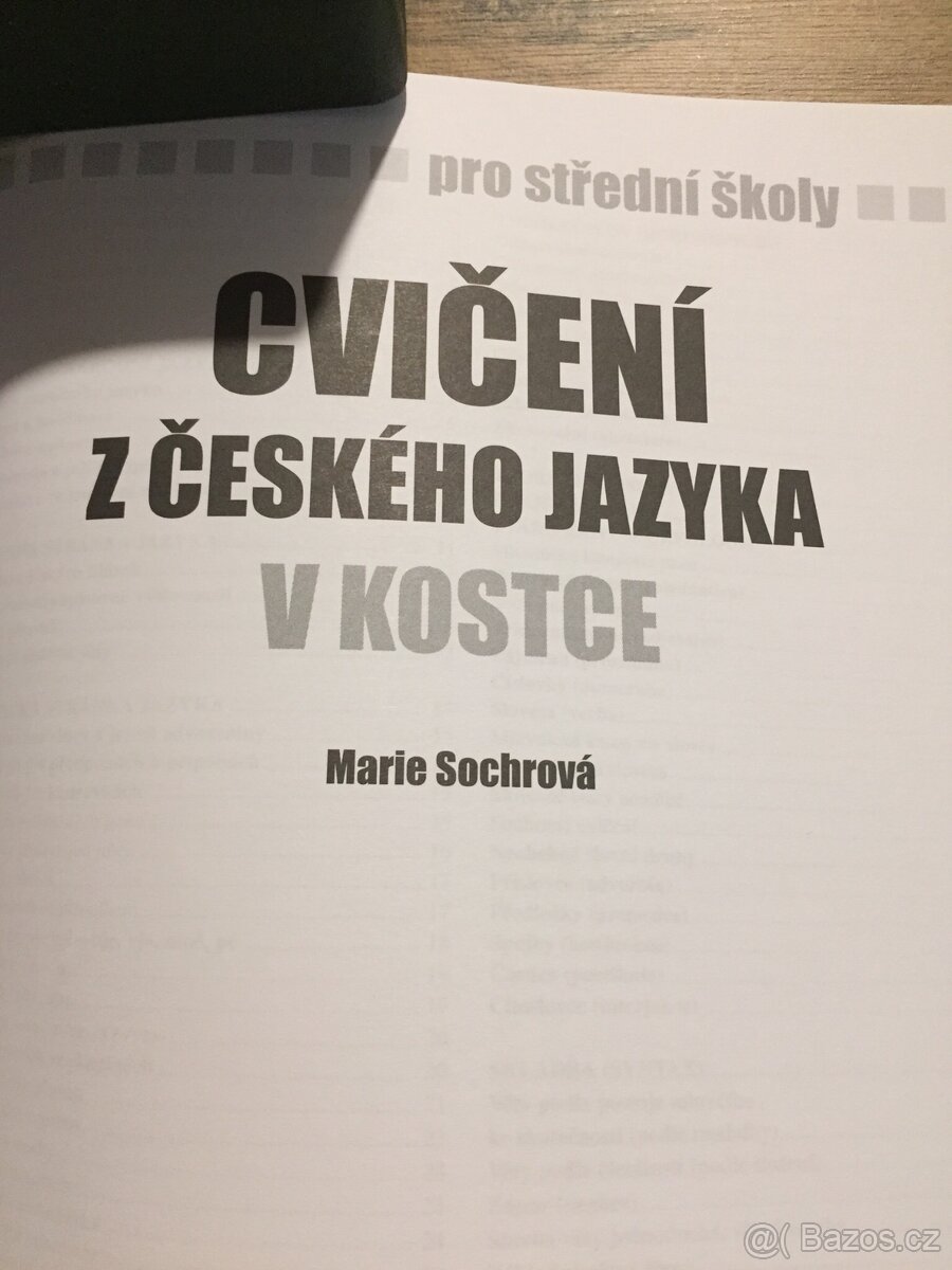 Český jazyk a literatura - 10