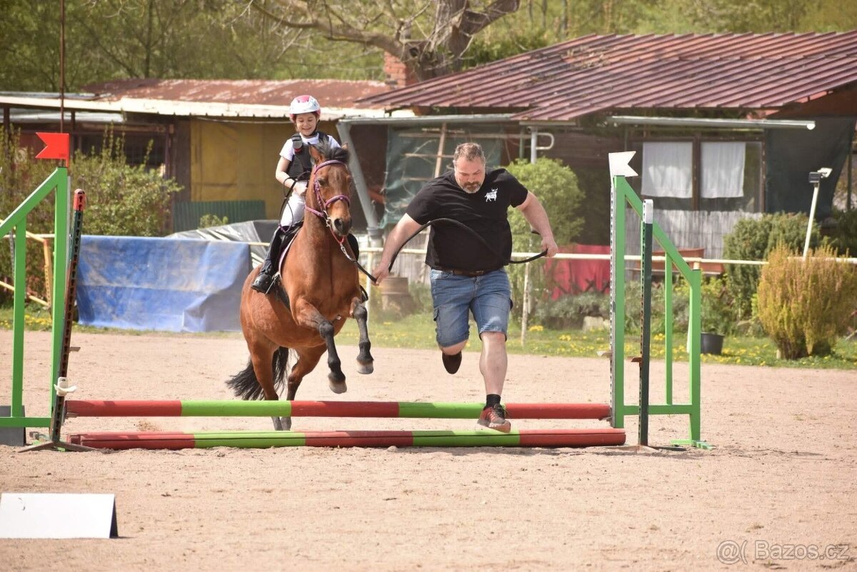 prodam pony- pronajem - 10