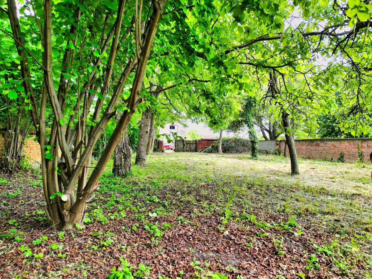 Prodej zahrady u Olomouce, 800 m2, Krčmaň - 10