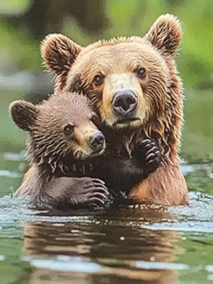 přívěs ,...50cm ,.. - 10