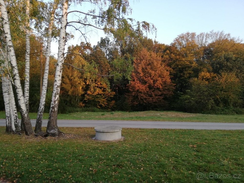 Pronájem ostatní plochy 100 - 500 m2 - Ludgeřovice - Hlučín - 10