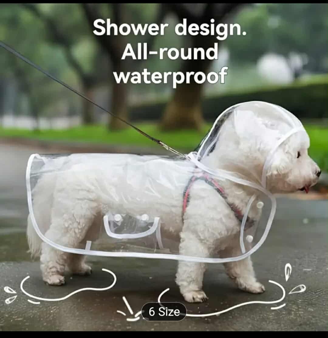 Kvalitní oblečení pro koček. - 10