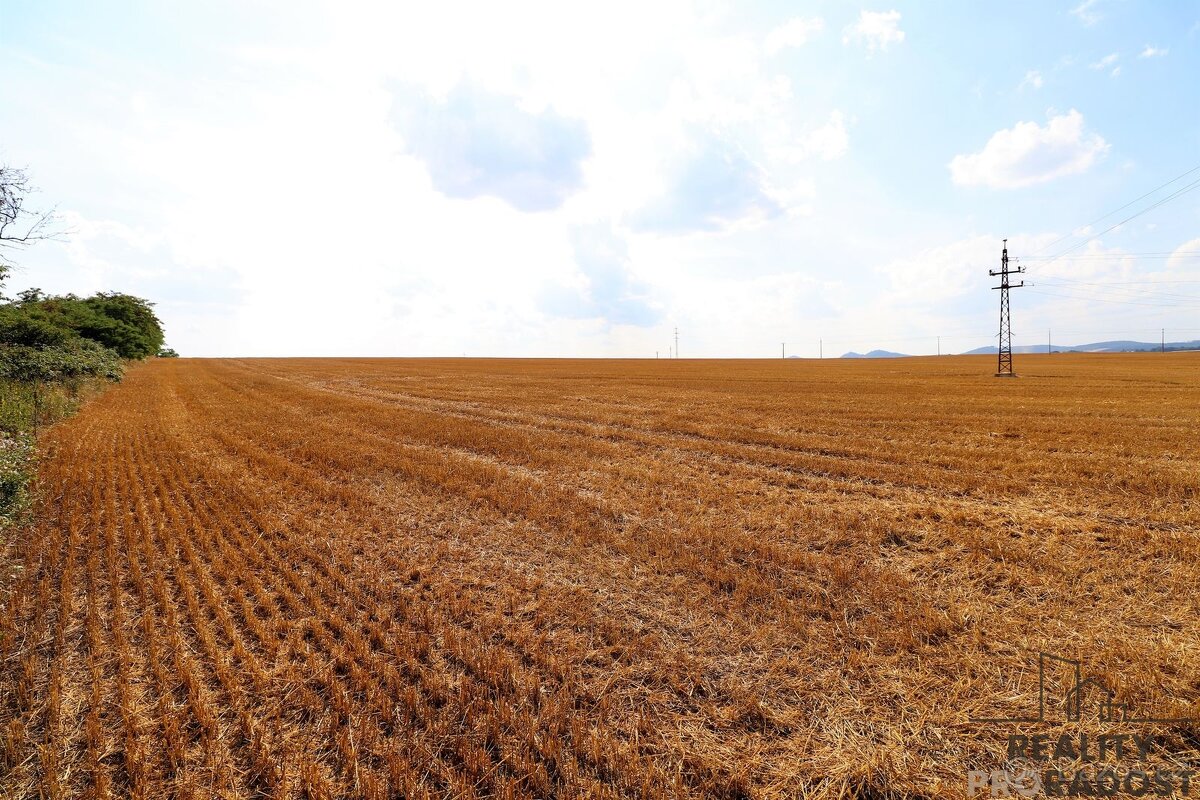 Prodej komerčního pozemku 3 106 m² – Staré Město u Uherského - 10