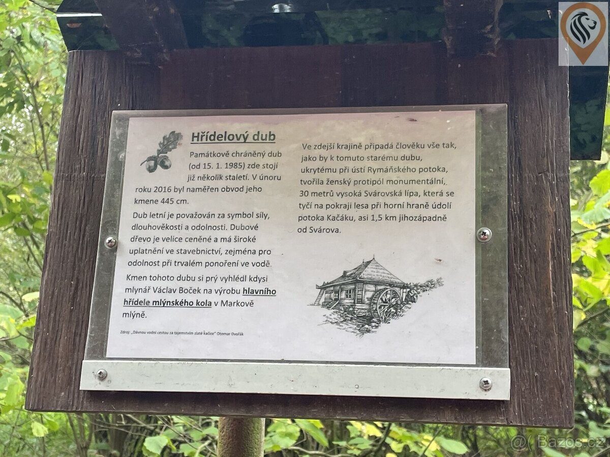 Prodej lesa o výměře 8 326m2 - 10