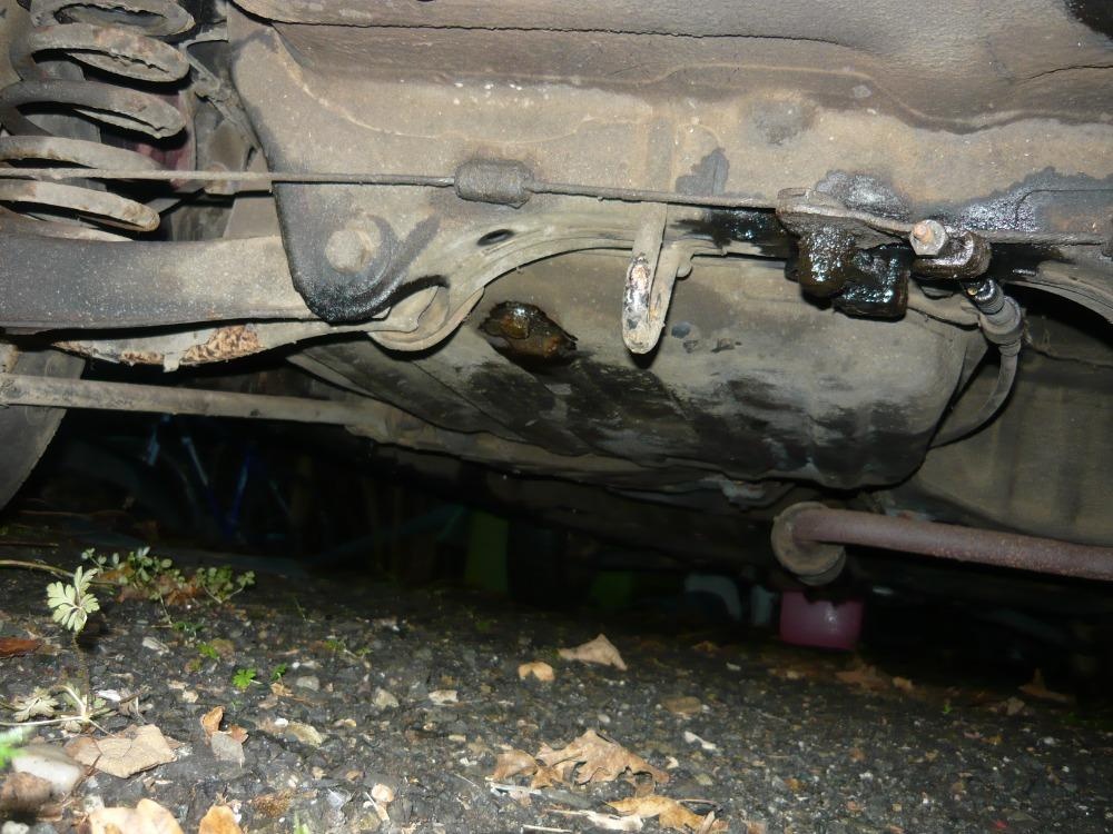 Honda Jazz 1200 - 10