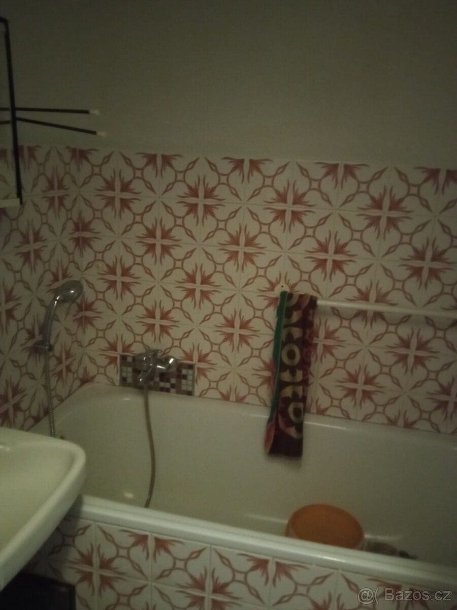 Prodám starší RD na splátky a bez úroků za 3.190.000,- Kč - 10