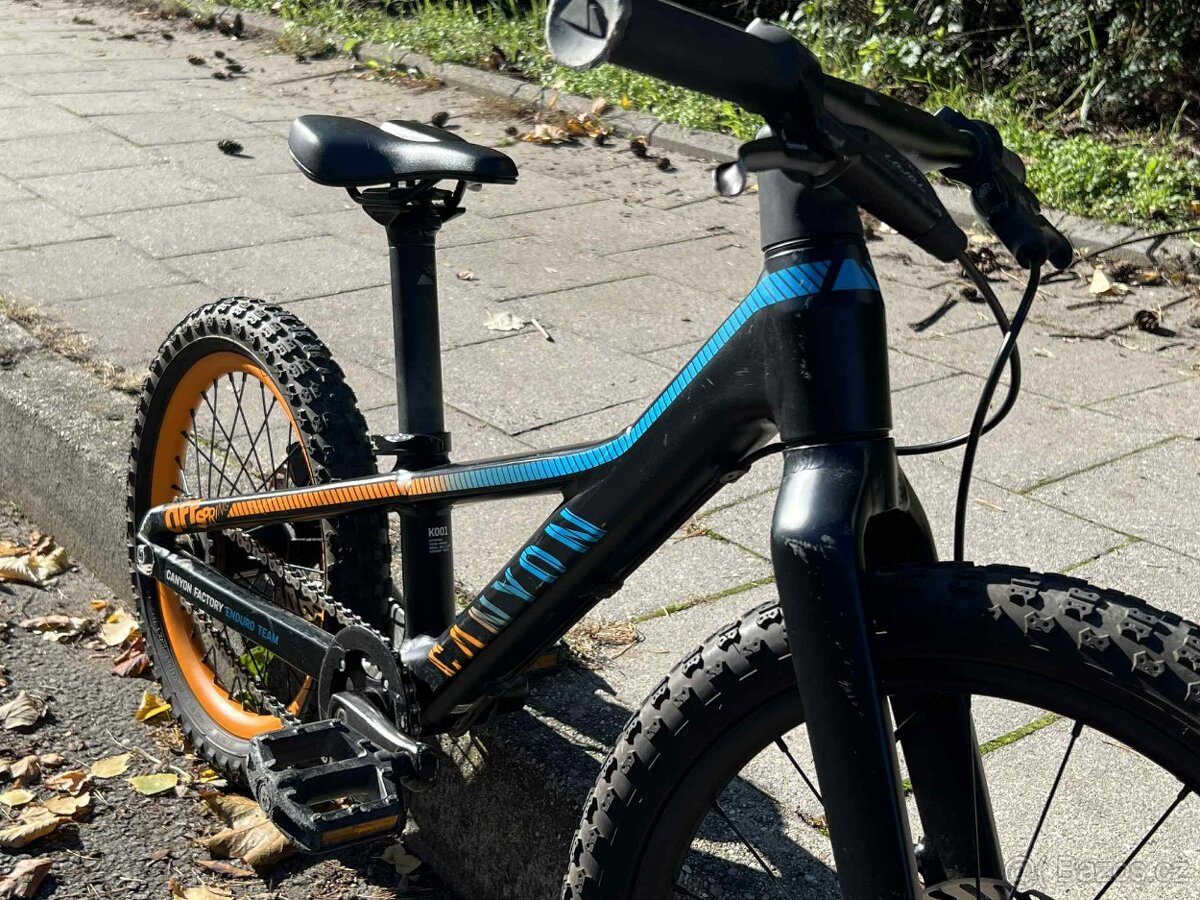 Canyon Offspring AL 16 - 10