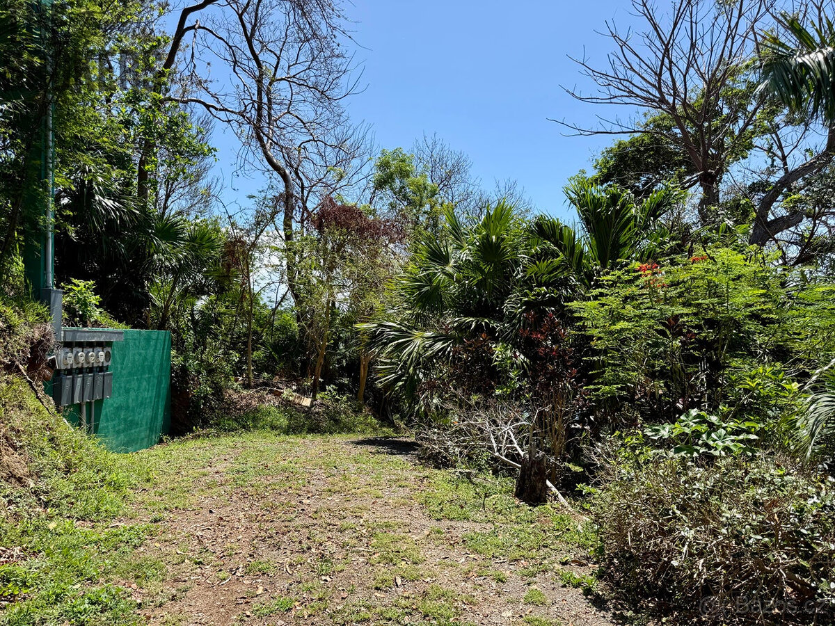 Atocha Lot 1&2 -First Bight, Roatan - 10