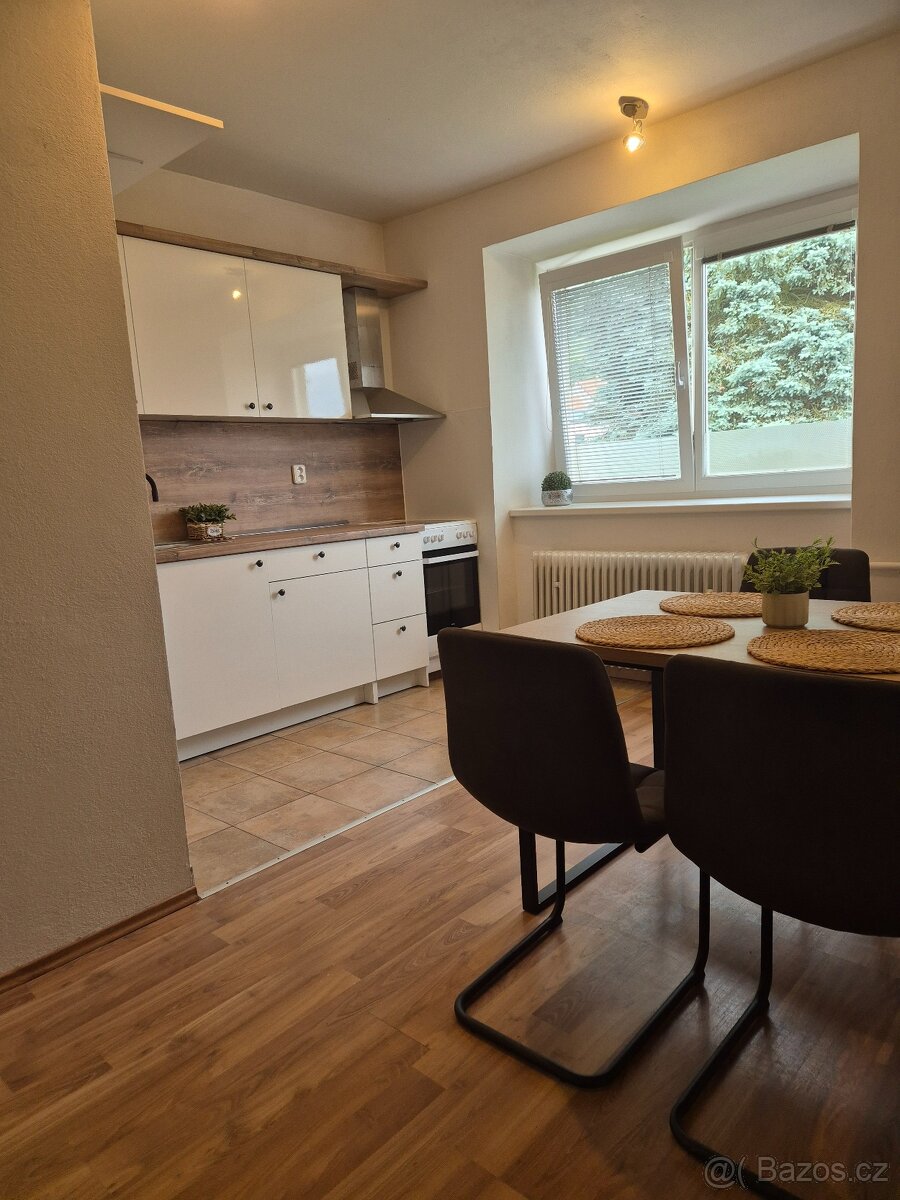 Pronáhem bytu 2+1 - 10