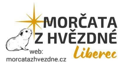 Morčátko CHS Z Hvězdné Liberec - 10
