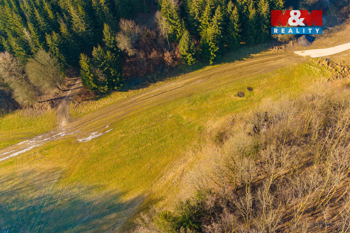 Prodej louky, 2359 m², Karle - 10