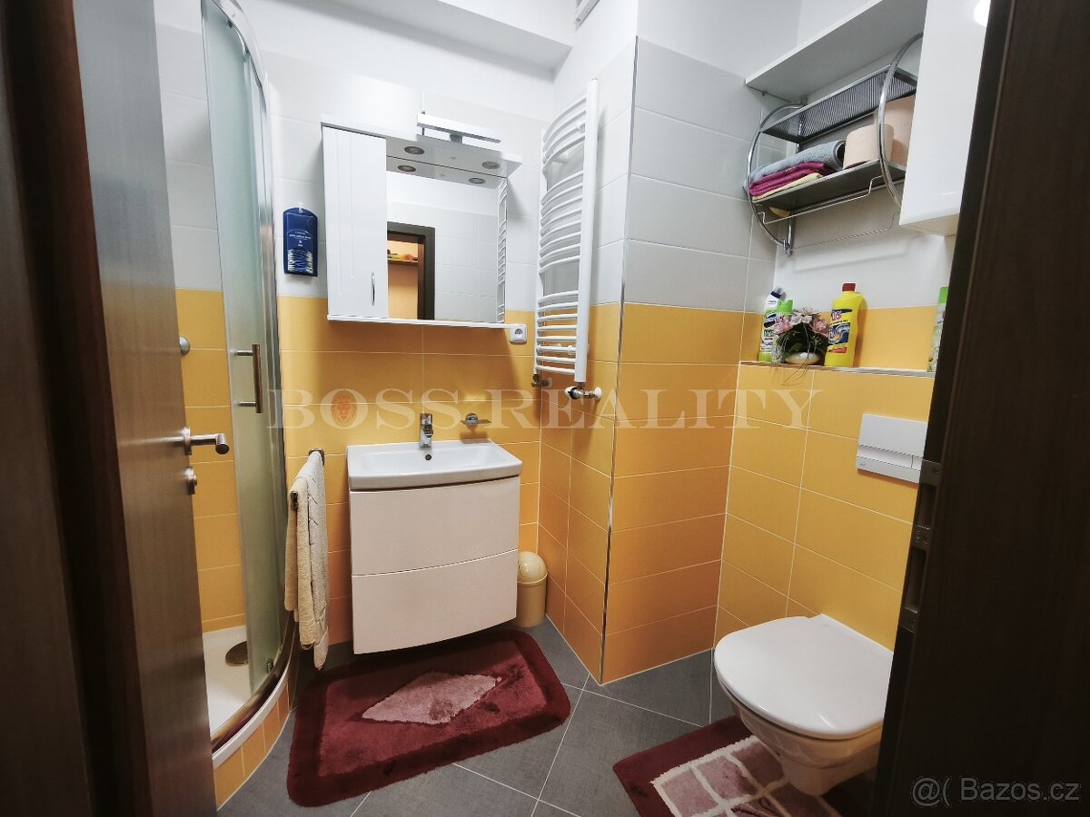 Slunný byt 1+kk s balkónem, sklepem a garážovým stáním - 10