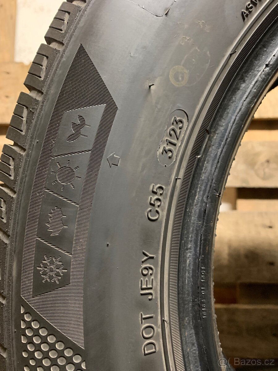 2ks 215/65/16C Minerva/2023/109-107T/celoročně - 10