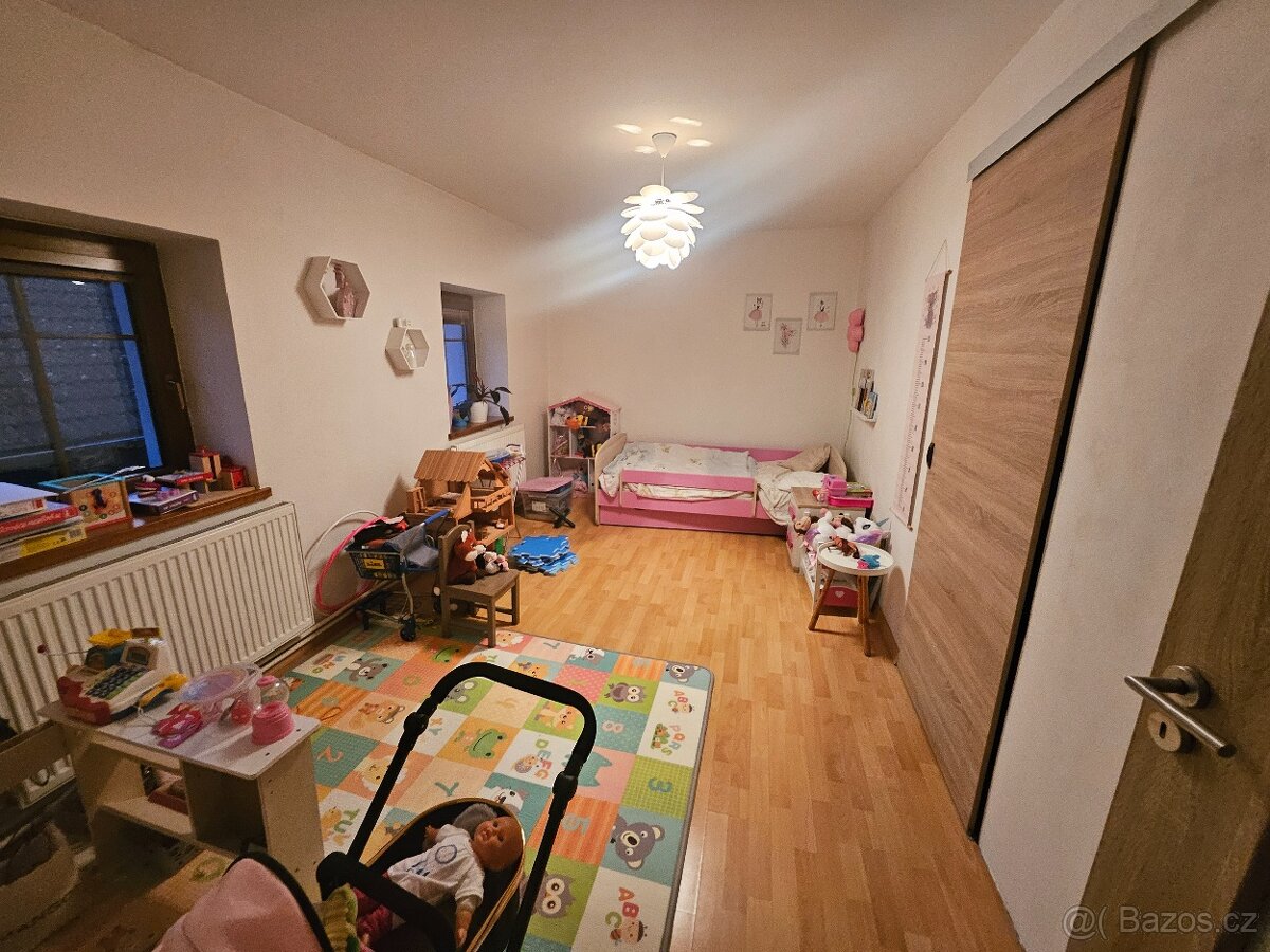 Prodej domu v obci Holany přímo u vody - 10