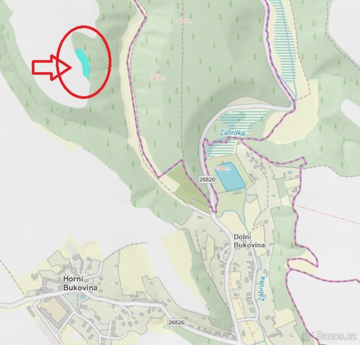 Prodej lesního pozemku v k.ú. Horní Bukovina - 10
