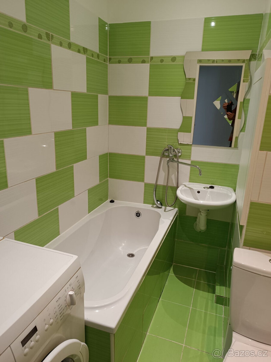 Pronájem bytu 1+1, Ostrava-Poruba (bez provize RK) - 10