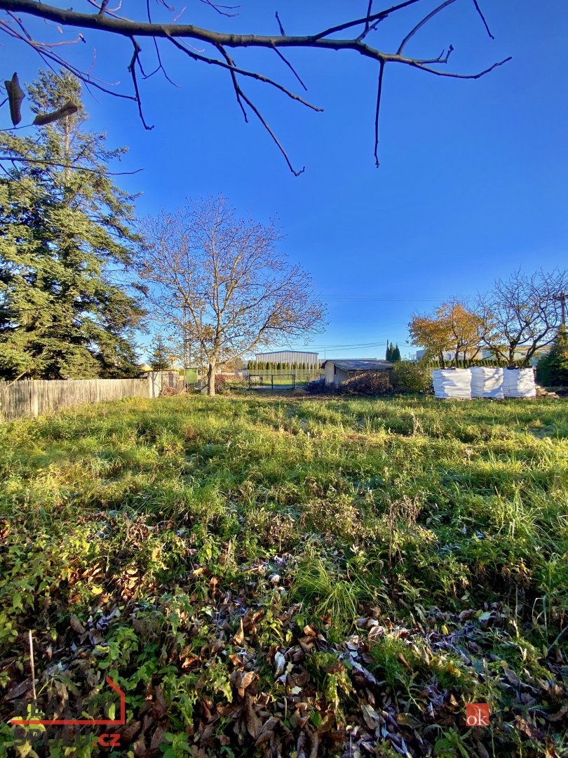 Prodej, pozemky/bydlení, 1049 m2, Rybníčky 100, 74781 Otice, - 10