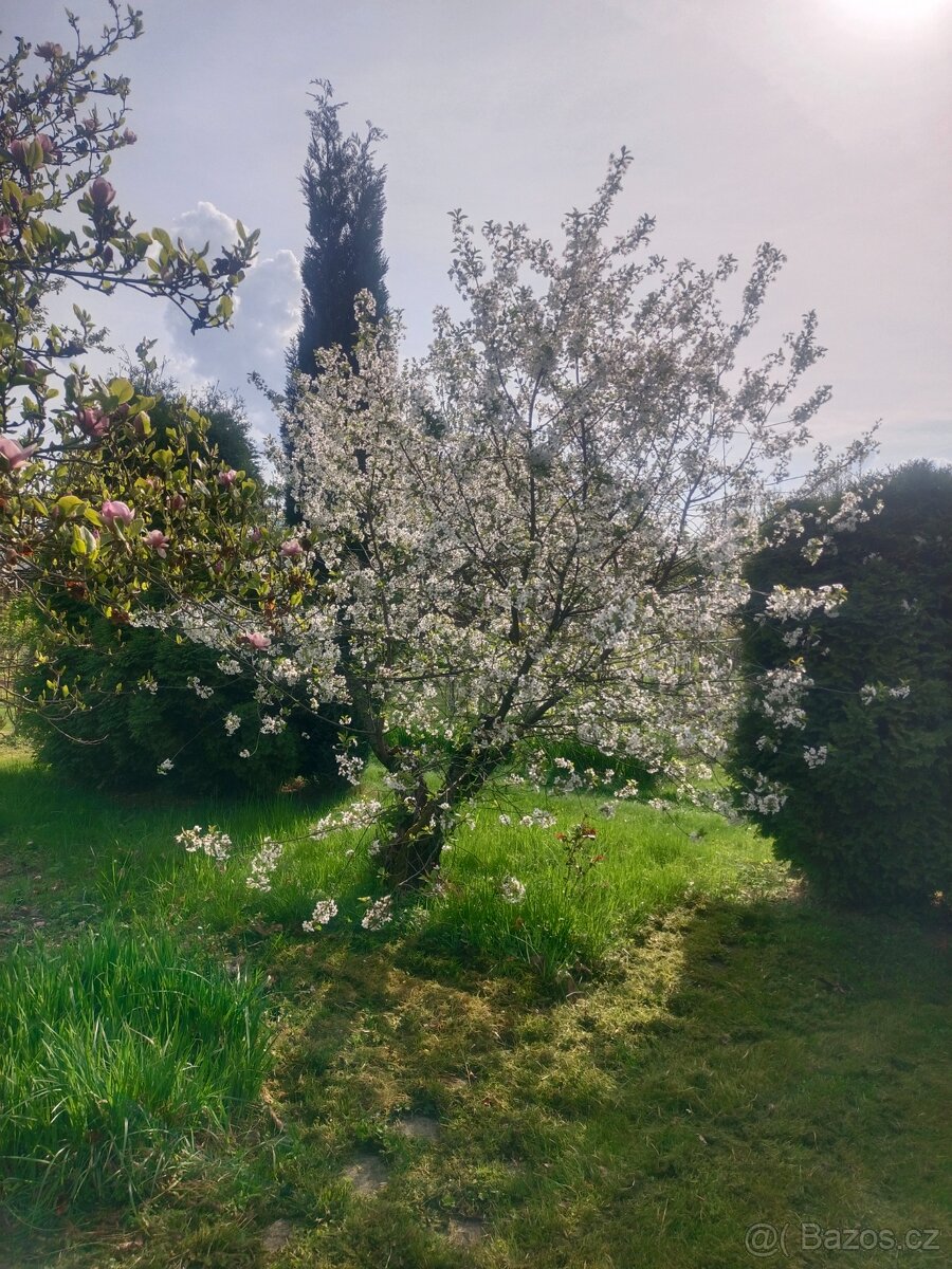 Zahrada s chatkou - 10