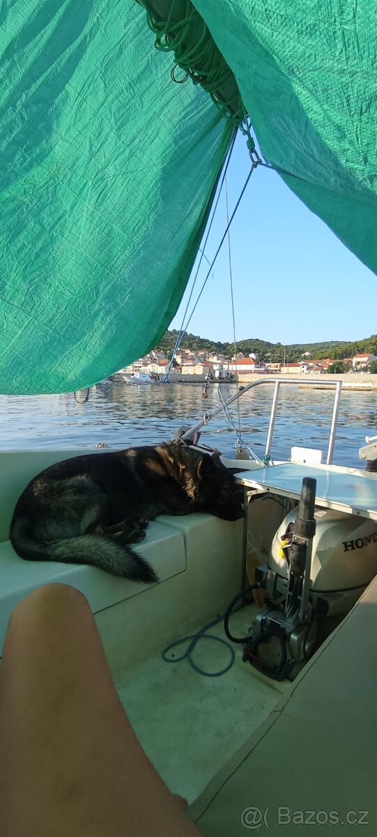 🛥️ Plachetnice Ariel – stabilní německá klasika s přívěsem - 10