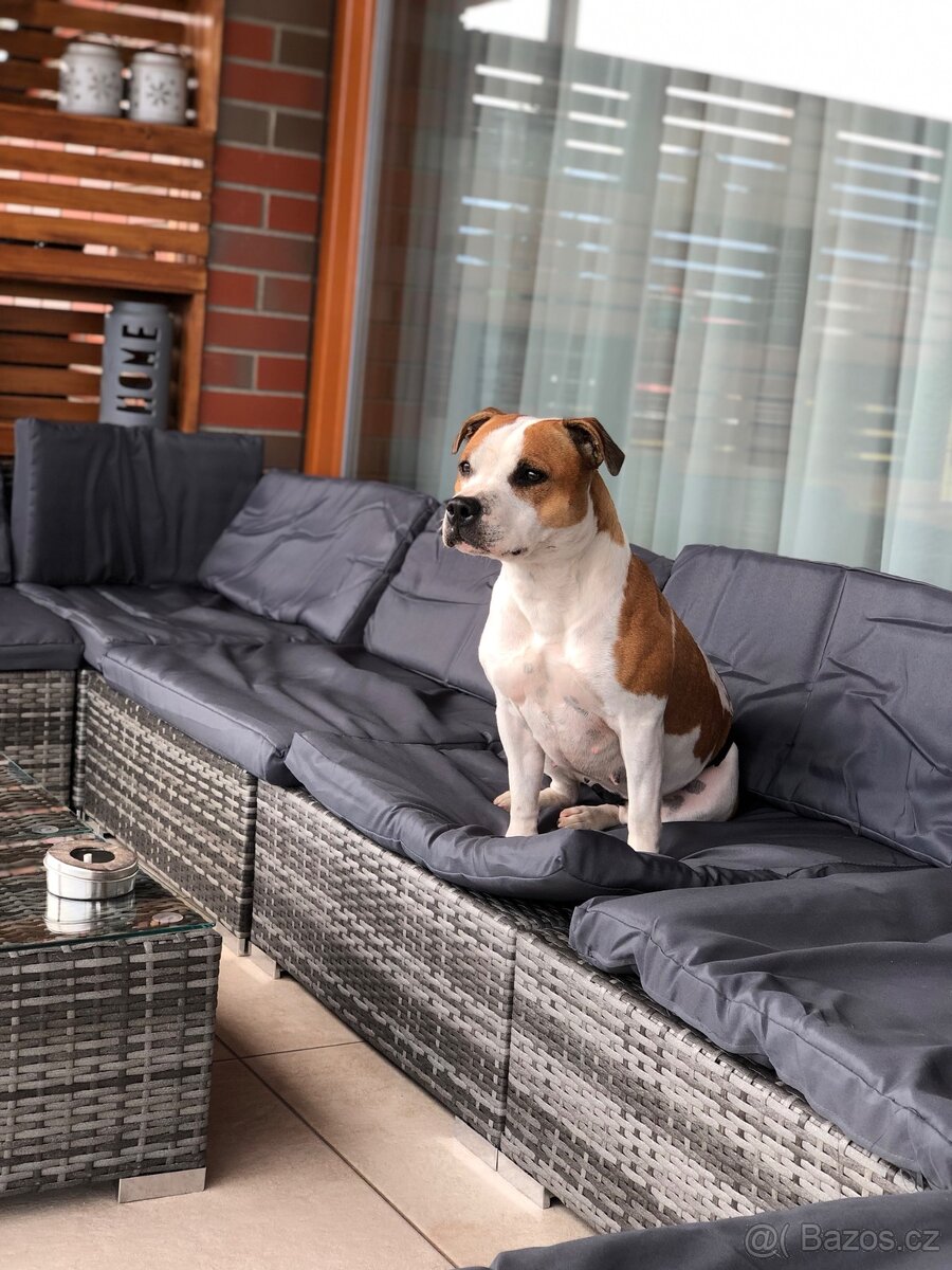 8dílná zahradní sedací souprava s poduškami polyratan šedá - 10