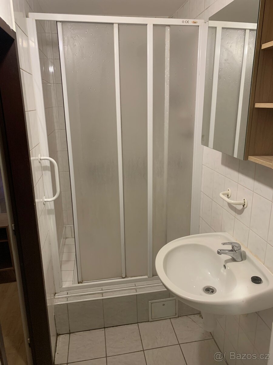Pronájem bytu - 10