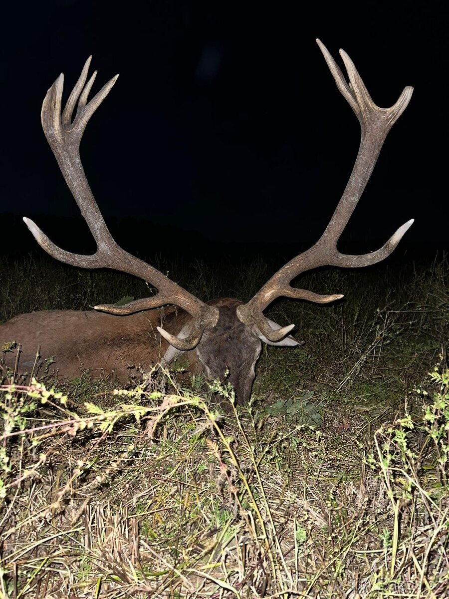 Polovačka v maďaesku - 10