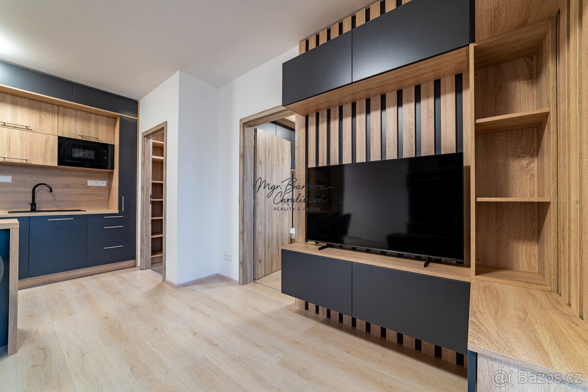 Pronájem novostavby 2+kk s balkonem a parkovacím místem, Zbů - 10