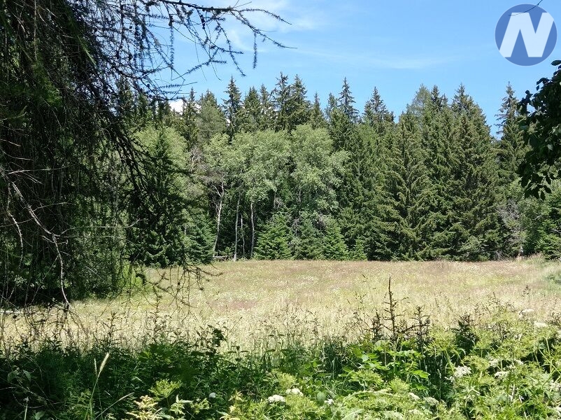 Černá Lada, pozemek s výměrou 22.888 m2 - 10