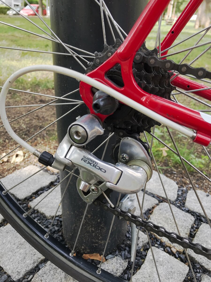 Silniční kolo Panasonic DX 3000 - 10