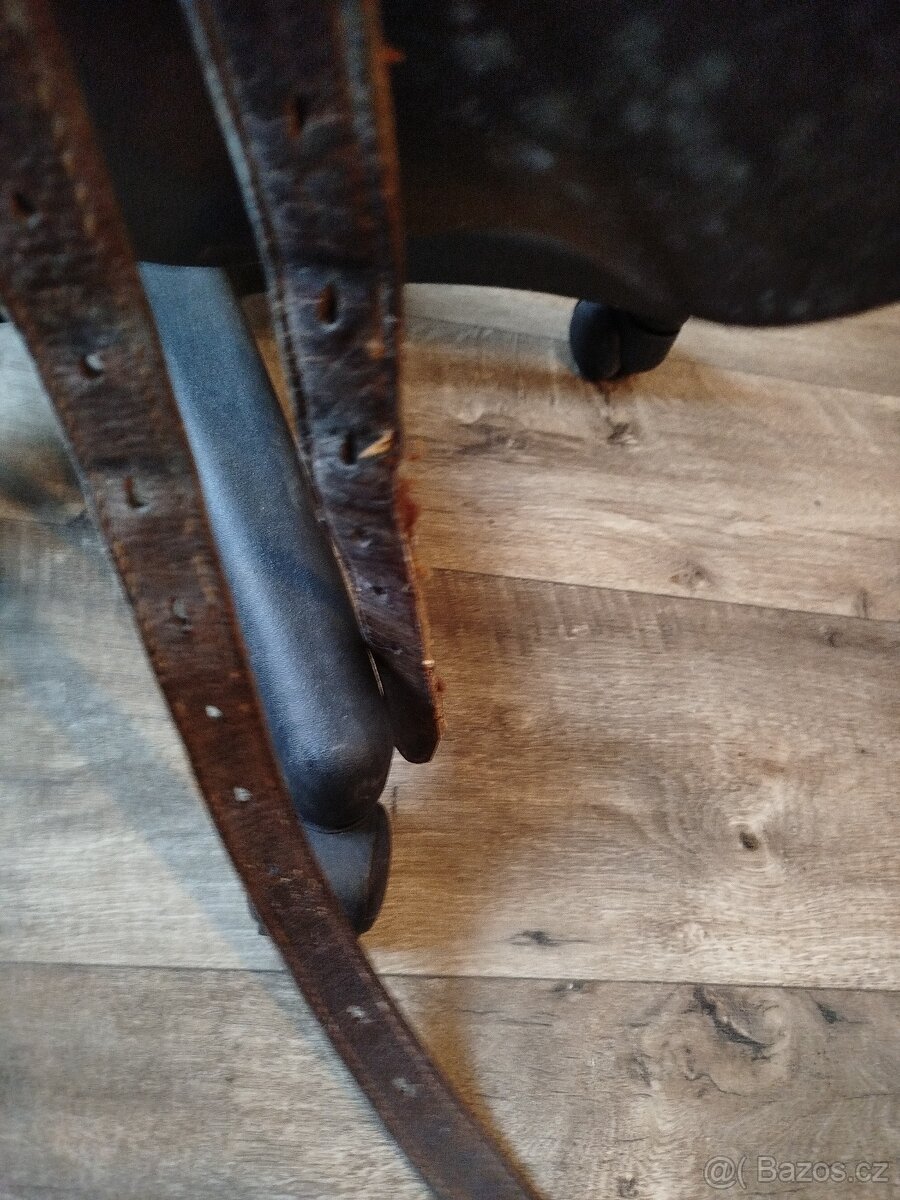 Australské sedlo úzké - 10