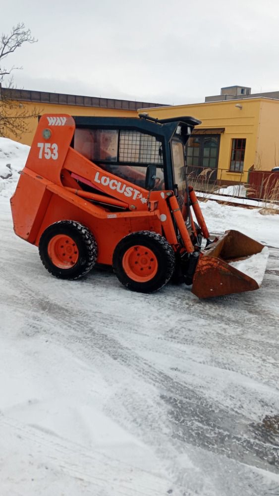 Locust 753 - 10