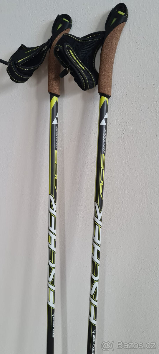 Fischer RCS carbon Lite / CLASSIC (197cm) - 10