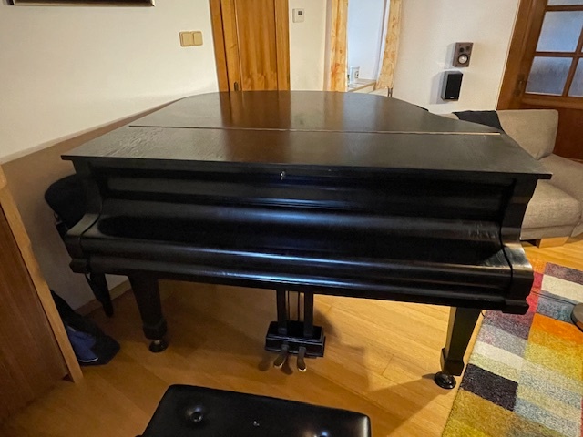 Klavír – křídlo August Förster - 10