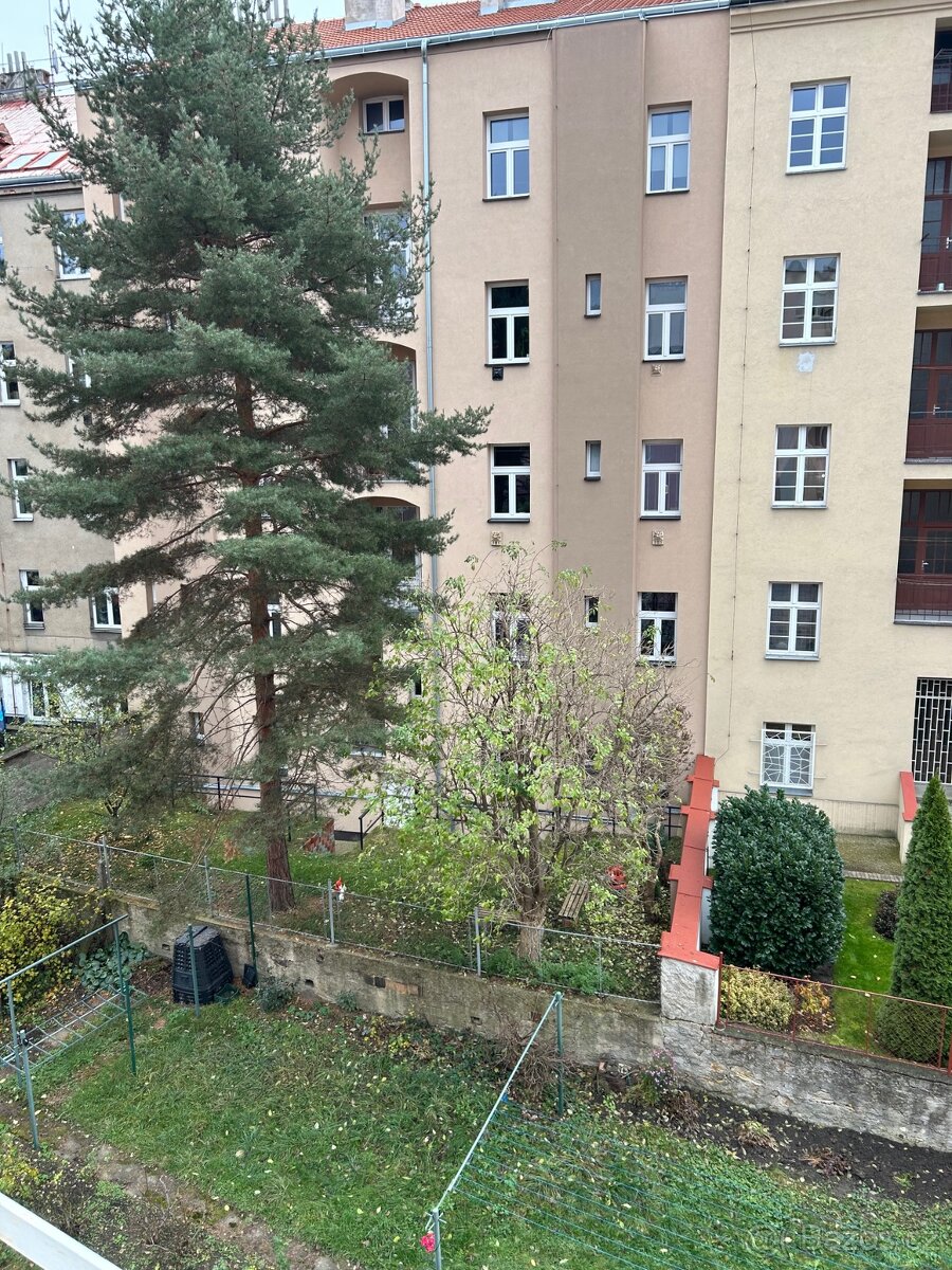 Byt 1+1 k pronajmu v Praze 6, Brevnov, BEZ PROVIZE - 10