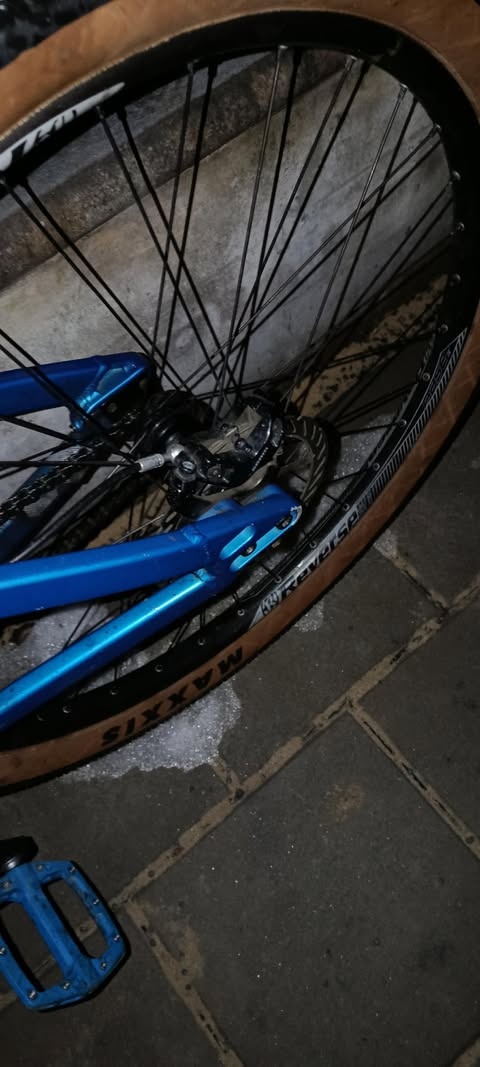 ROSE THE BRUCE SPĚCHÁ - 10