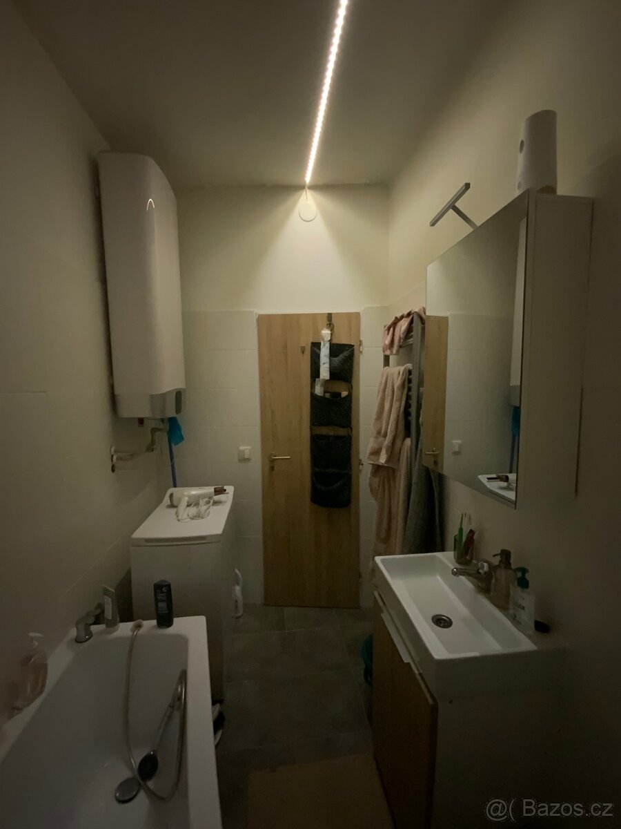 Pronájem bytu 4+kk s předzahrádkou a parkováním - 10