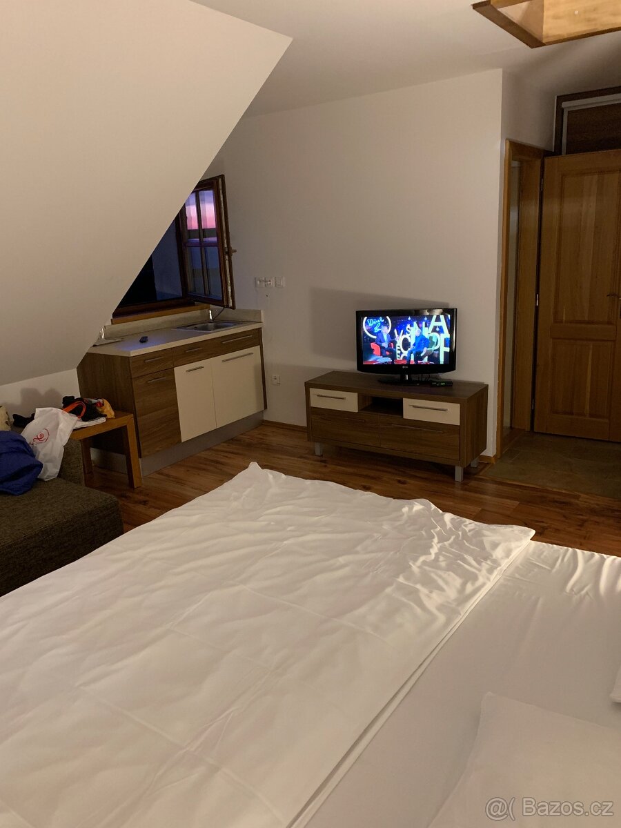 Prodám celoroční provoz -apartmán na horách - 10