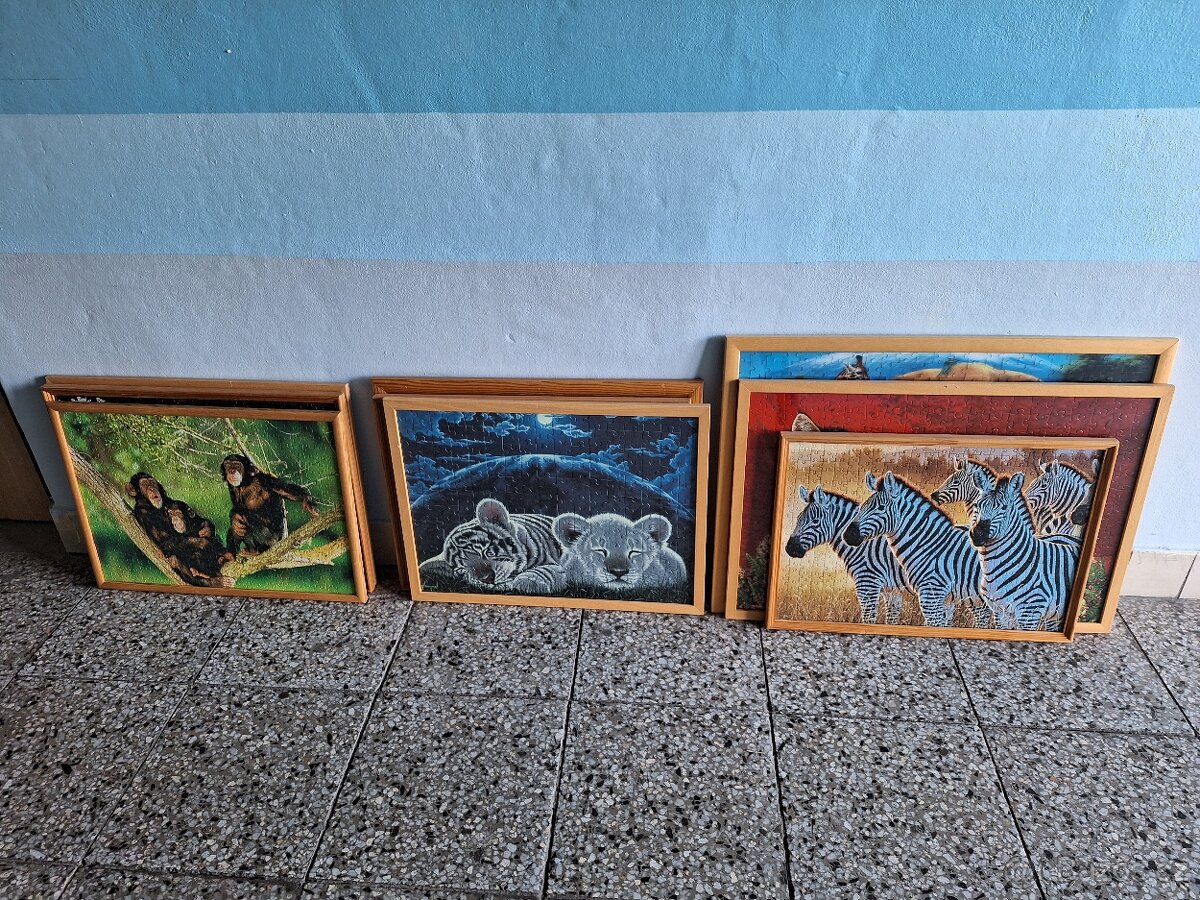 Obrázky zvířat 9 ks - 10