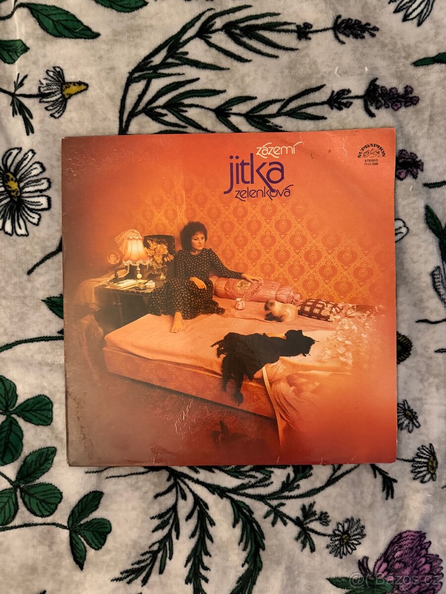 Gramofonové desky (1973-1985) - 10