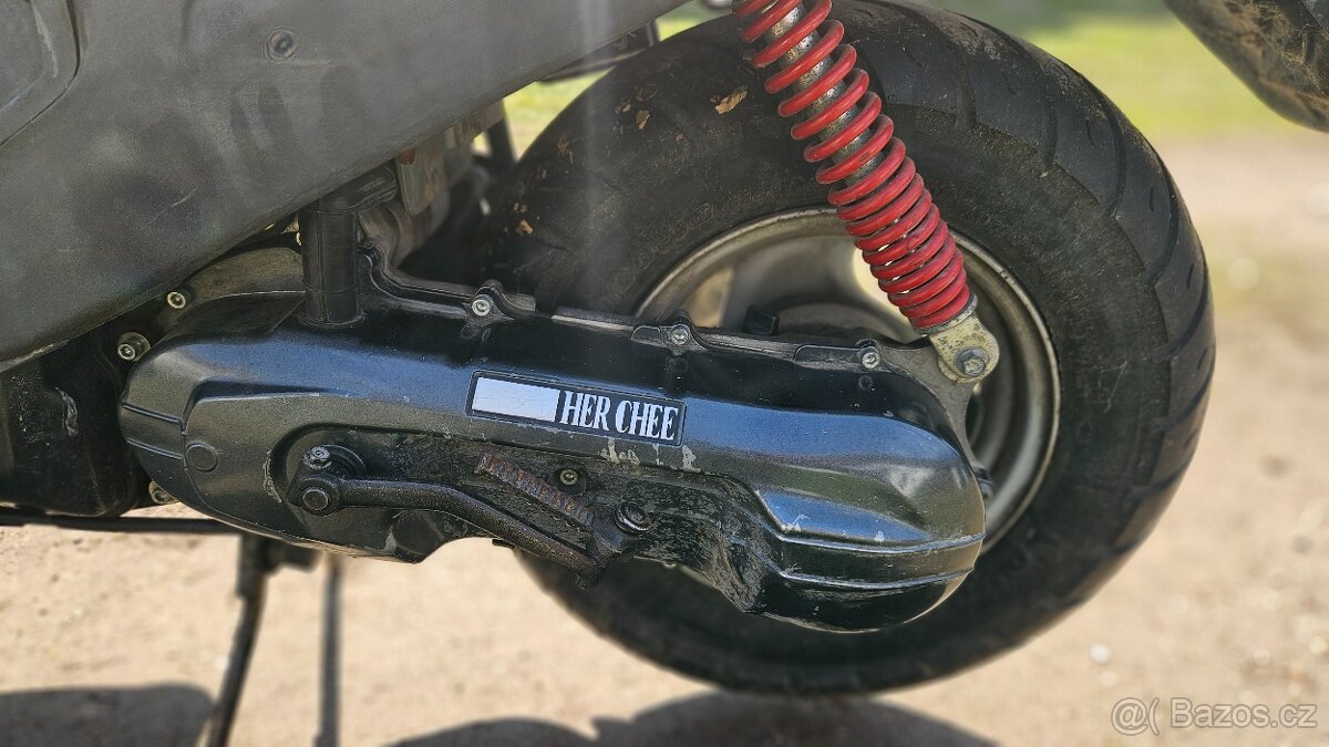 Silver fox 50 s Tp - 10