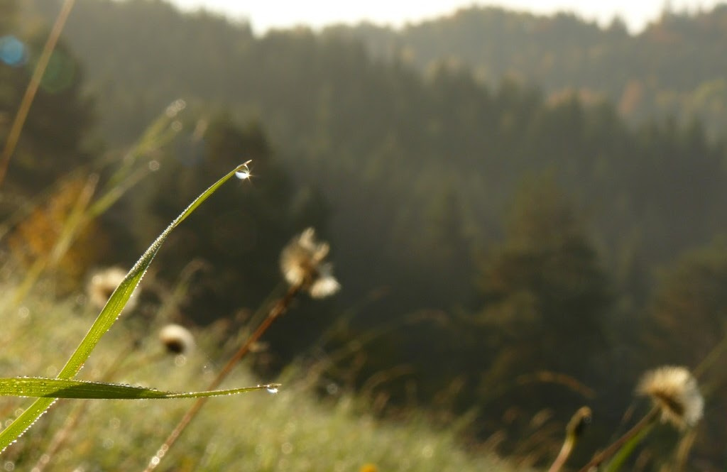Pronájem romantické chalupy na polosamotě Javorníky/Beskydy - 10