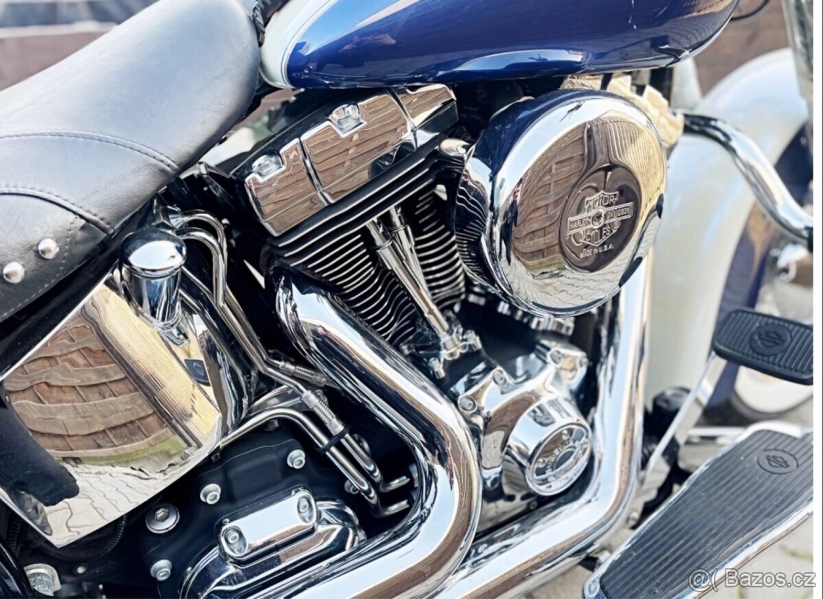 FLSTN HARLEY-DAVIDSON HERITAGE SOFTAIL DELUXE 1600 96”inch - 10