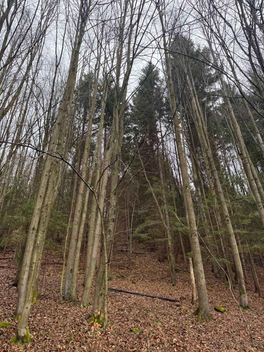 Prodej pozemků k.ú. Huslenky (3) - 10