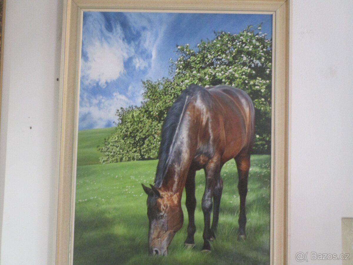 bytové doplnky-obrazy - 10
