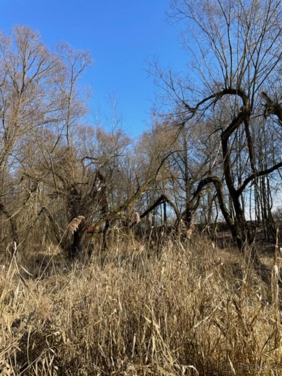 Prodám pozemky v k.ú. Starý Ples - 10