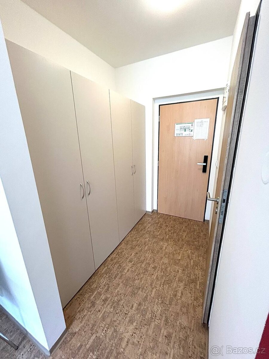 krásný byt 1+kk 27m2 v ul. Křížová, Praha - Smíchov - 10