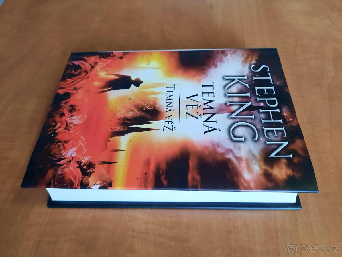 Stephen King - Vlci z Cally a Temná věž - 10