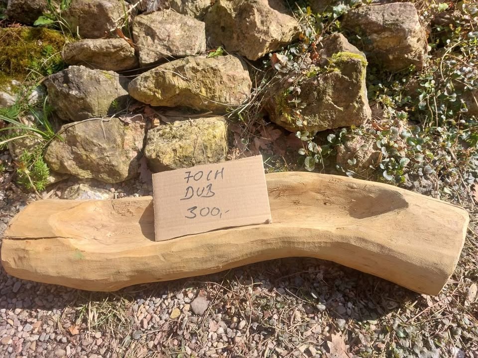 Dlabané koryto - 10