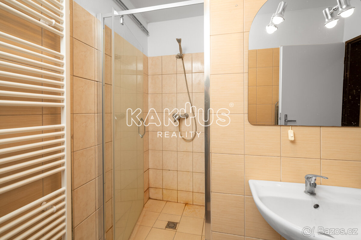 Pronájem prostorného bytu 1+1, 35 m2, ulice Roháčova, Moravs - 10